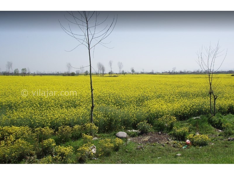 عکس شماره 26 - جاذبه‌های گردشگری فریدونکنار