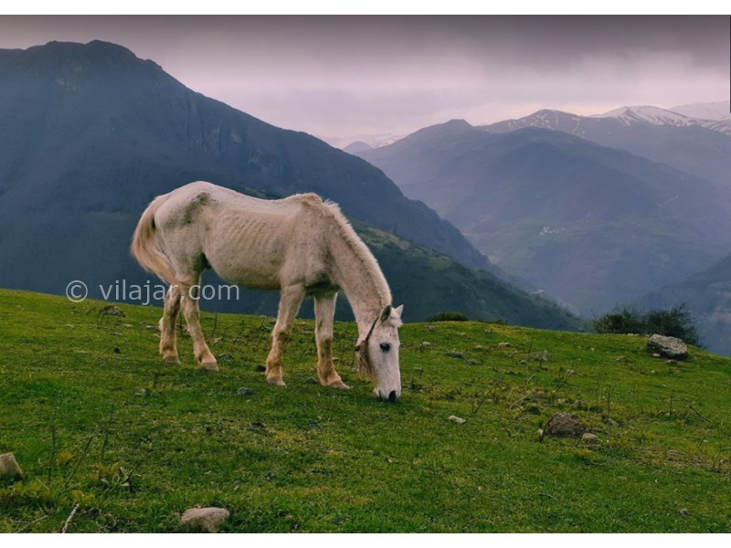 عکس شماره 6 - روستای اشکورات