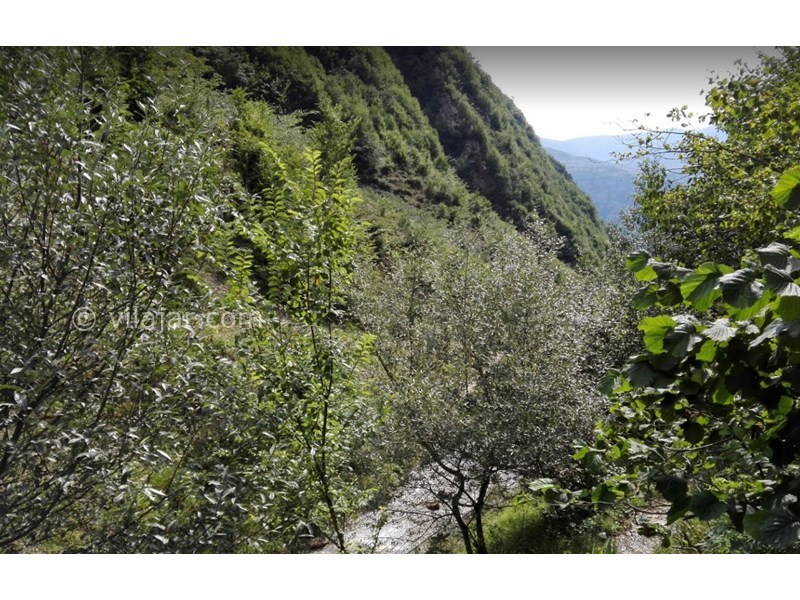 عکس شماره 8 - روستای اشکورات