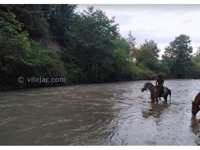 عکس شماره 5 - مرداب کندوچال در چالوس