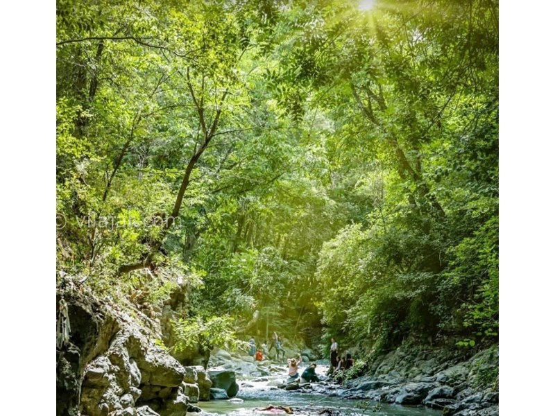 عکس شماره 3 - جاذبه های گردشگری کردان