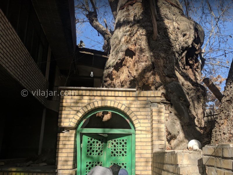 عکس شماره 9 - گردشگری در روستای برغان کرج