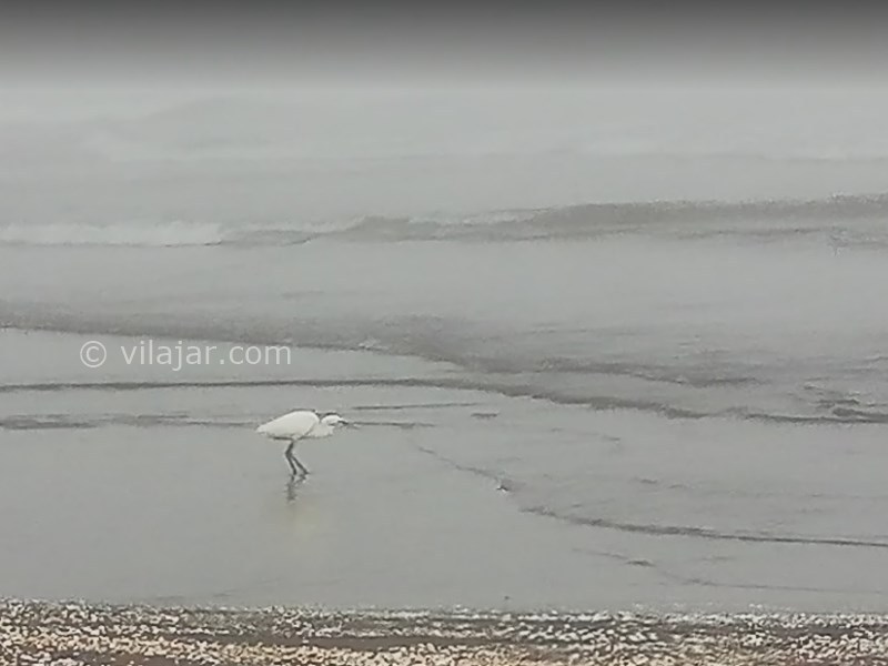 عکس شماره 3 - پارک ملی بوجاق کجاست؟