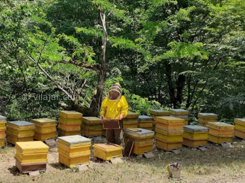 عکس شماره 6 - آبشار تودارک جلیسان