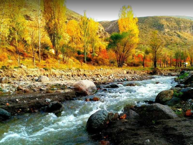 عکس شماره 7 - پارک جنگلی خیاو چایی