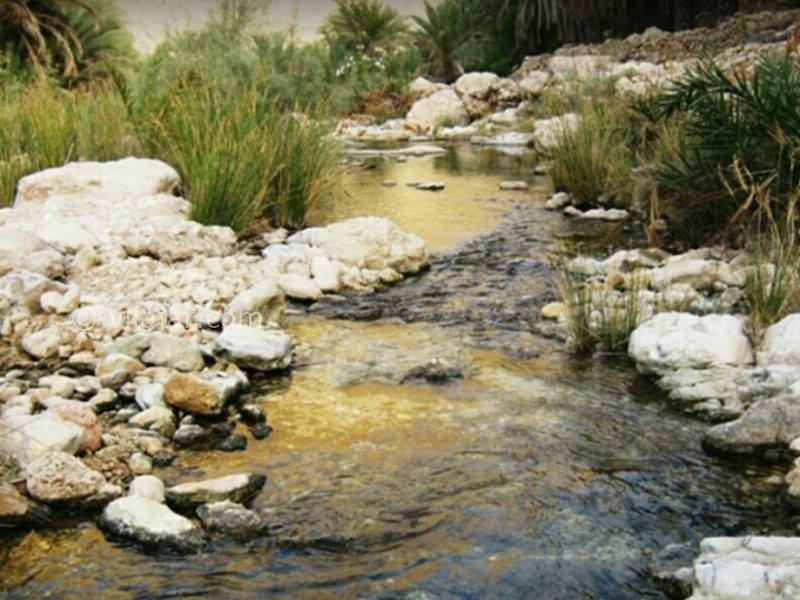 عکس شماره 3 - روستای بناب هرمزگان
