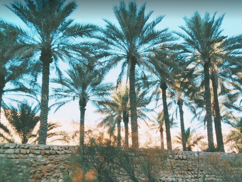 عکس شماره 7 - روستای بناب هرمزگان