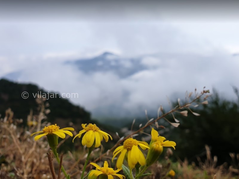عکس شماره 15 - روستای فیلبند، بام مازندران