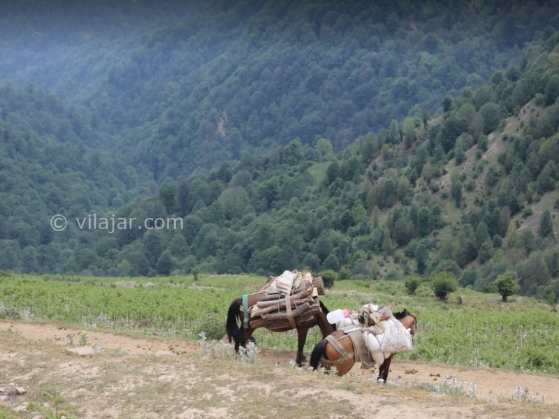 عکس اصلی شماره 17 - روستای فیلبند، بام مازندران