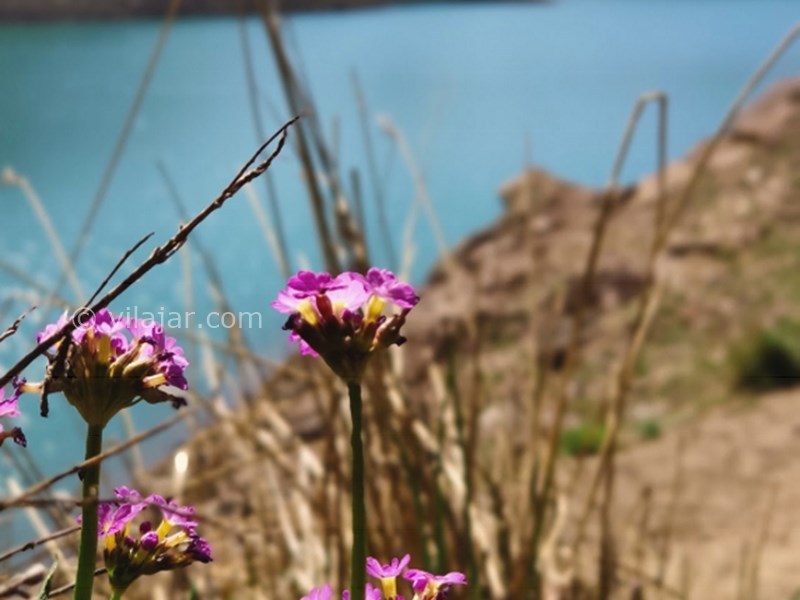 عکس شماره 5 - دریاچه تار کجاست؟