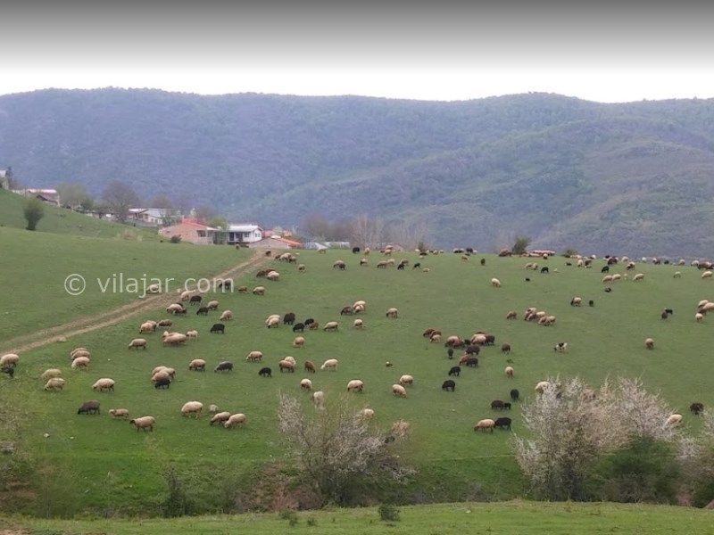 عکس شماره 5 - جاذبه های گردشگری سیاهکل