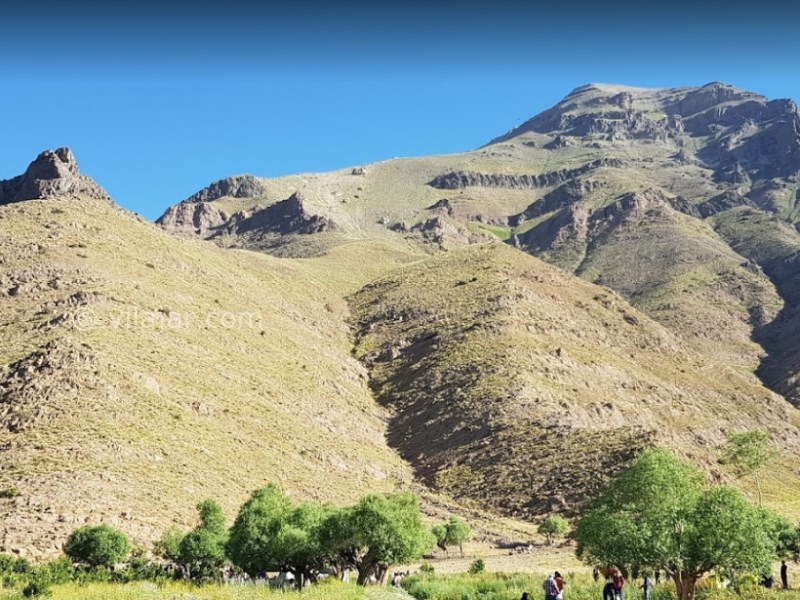 عکس شماره 4 - دشت هویج نزدیک تهران