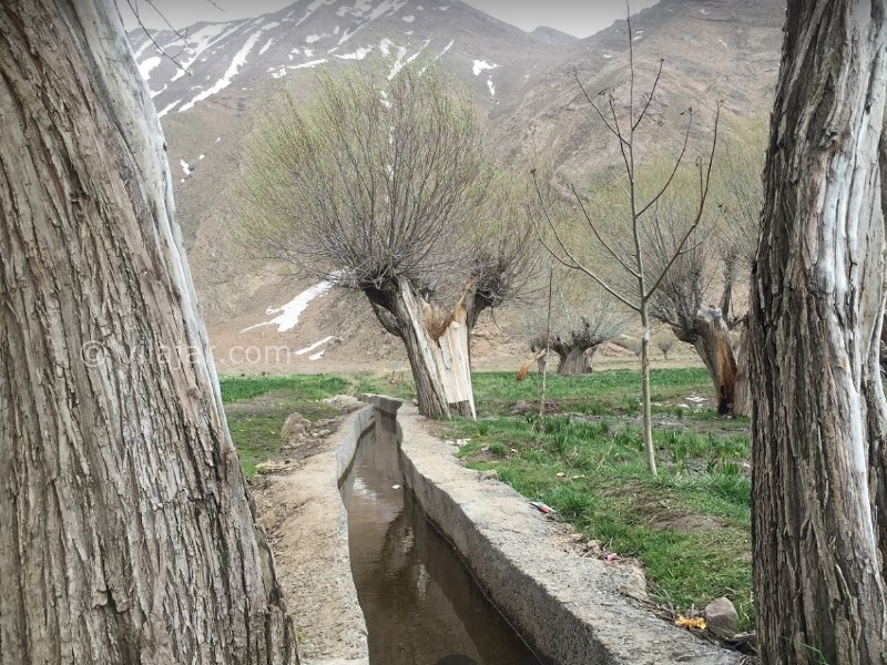 عکس شماره 6 - دشت هویج نزدیک تهران