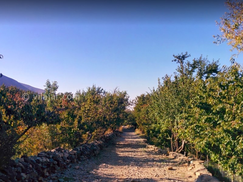 عکس شماره 7 - دشت هویج نزدیک تهران