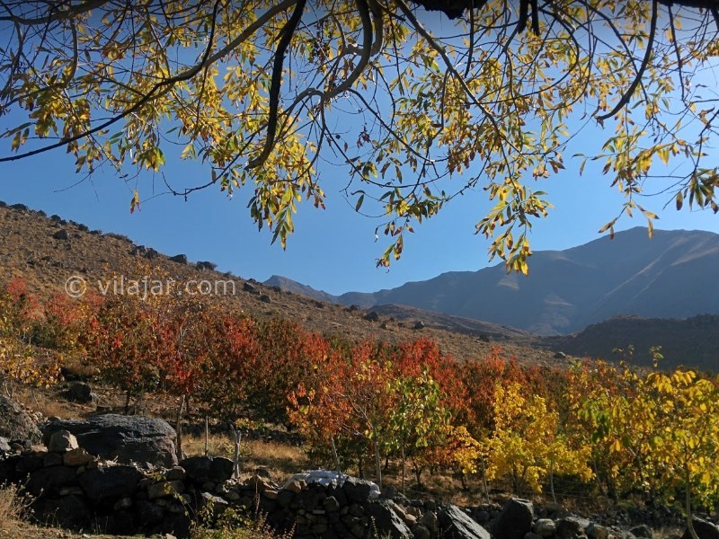 عکس شماره 8 - دشت هویج نزدیک تهران