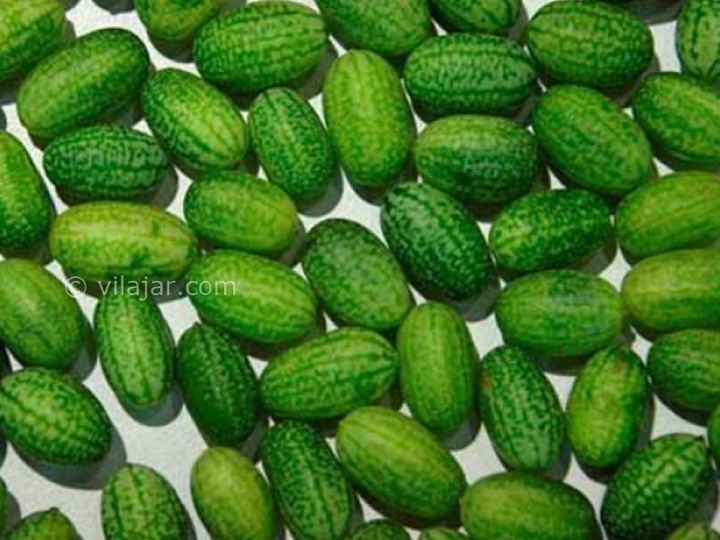 عکس شماره 3 - بورانی کمبوزه