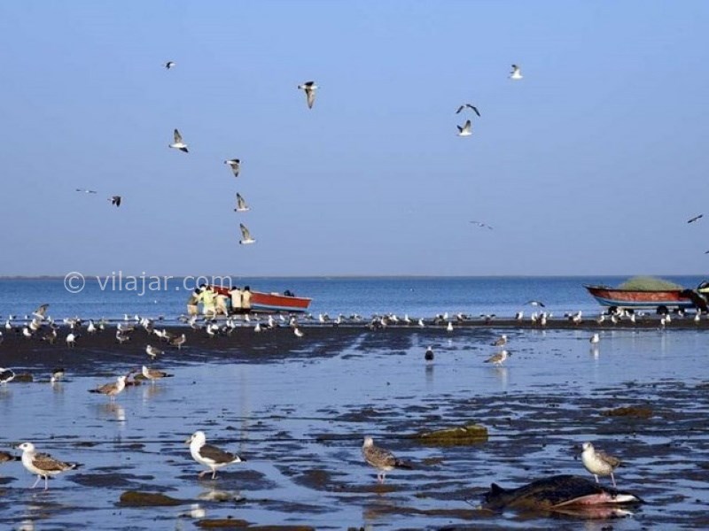 عکس شماره 8 - بندر گواتر