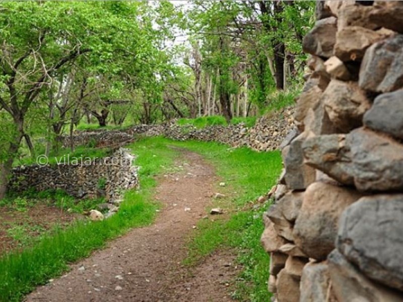 عکس اصلی شماره 2 - روستای طامه