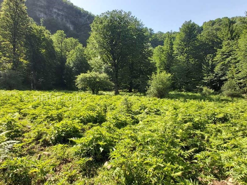 عکس شماره 3 - آبشار سنگ بن چشمه