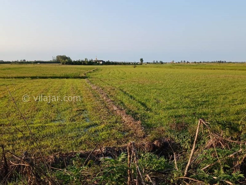 عکس شماره 5 - آغوز آب بندان بابل