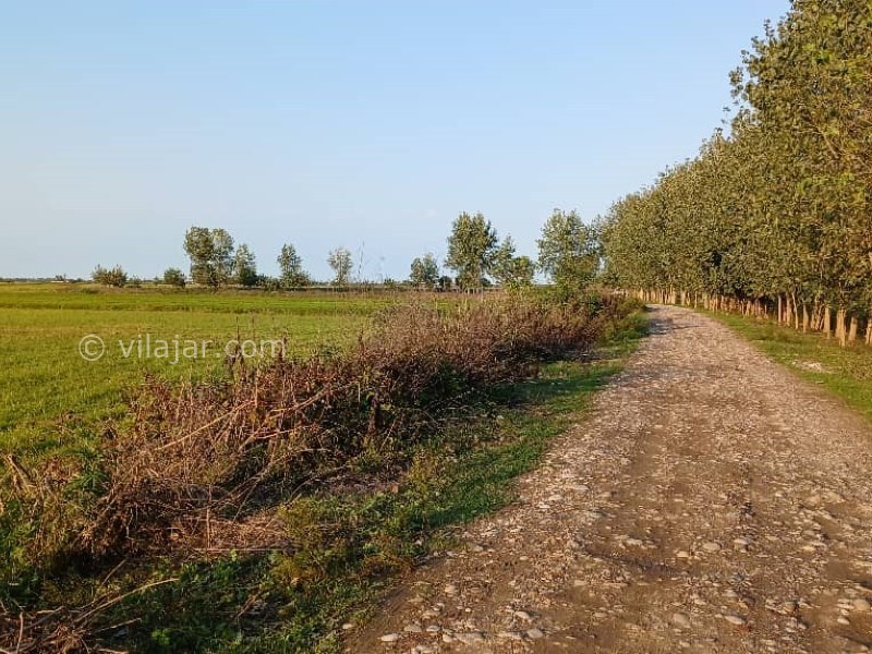 عکس شماره 6 - آغوز آب بندان بابل