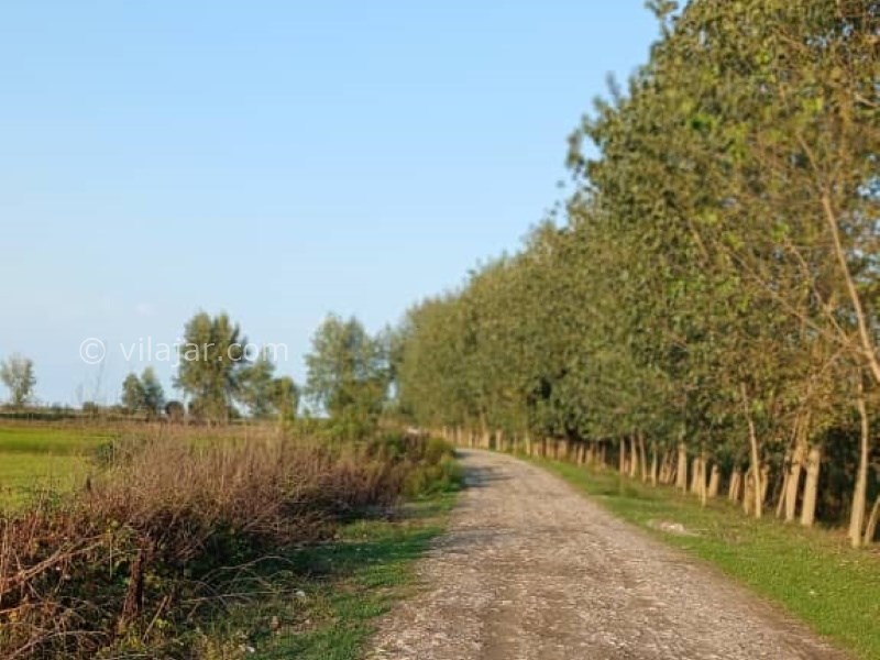 عکس شماره 7 - آغوز آب بندان بابل