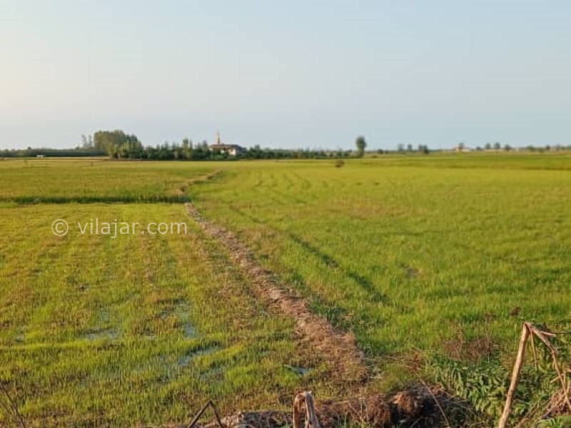 عکس شماره 8 - آغوز آب بندان بابل