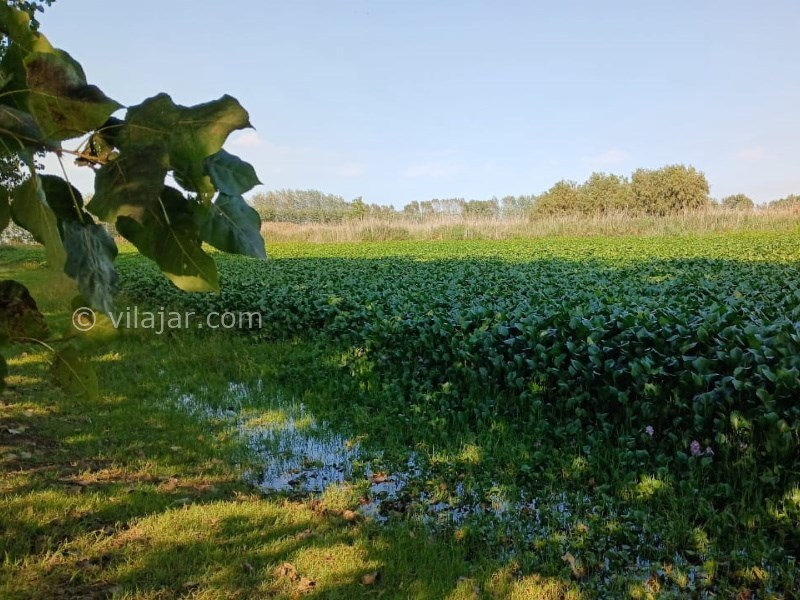 عکس شماره 12 - آغوز آب بندان بابل
