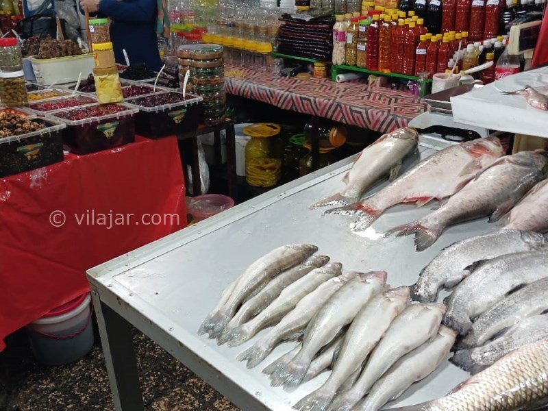 عکس شماره 15 - آغوز آب بندان بابل