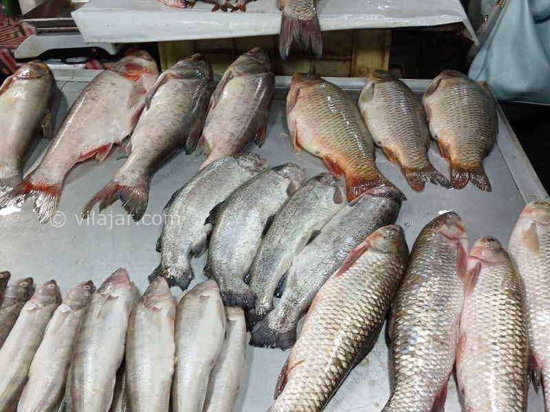 عکس شماره 16 - آغوز آب بندان بابل