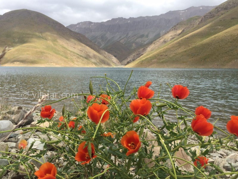 عکس شماره 4 - روستای دهنار دماوند