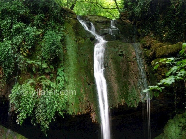 عکس اصلی شماره 2 - آبشار و جنگل رنگو در گلستان