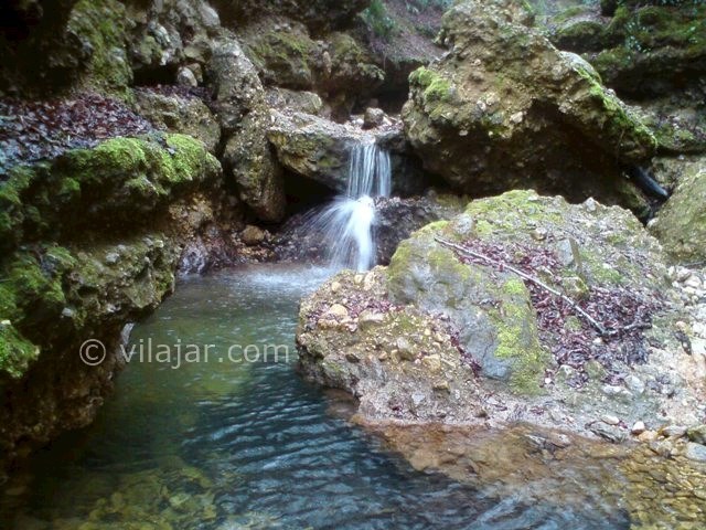 عکس اصلی شماره 3 - آبشار و جنگل رنگو در گلستان