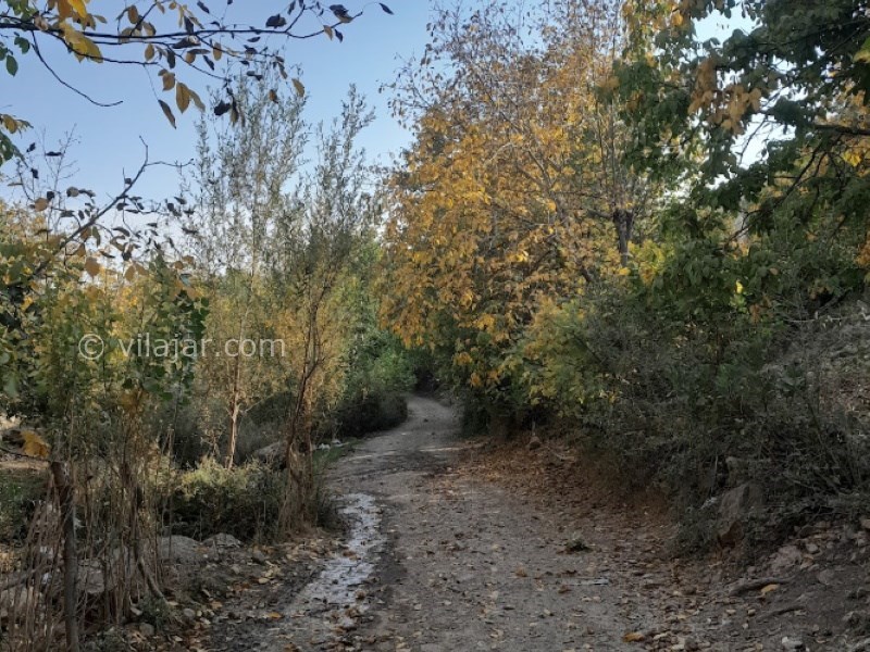 عکس اصلی شماره 10 - روستای چنارستان و سراب جانیزه