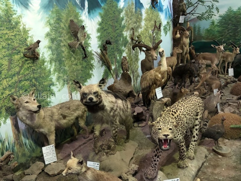 عکس شماره 6 - کاروانسرای شاه عباسی نیشابور