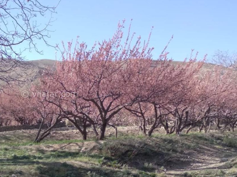 عکس شماره 6 - منطقه گردشگری چشمه لادر