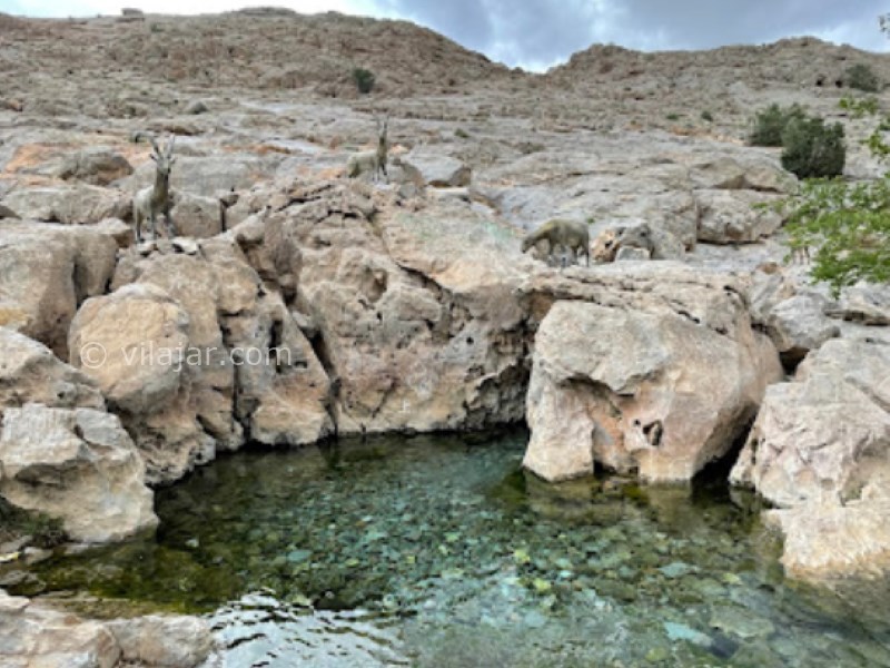 عکس شماره 13 - چشمه غربالبیز مهریز