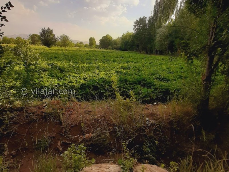 عکس شماره 3 - جاده توریستی سوکهریز