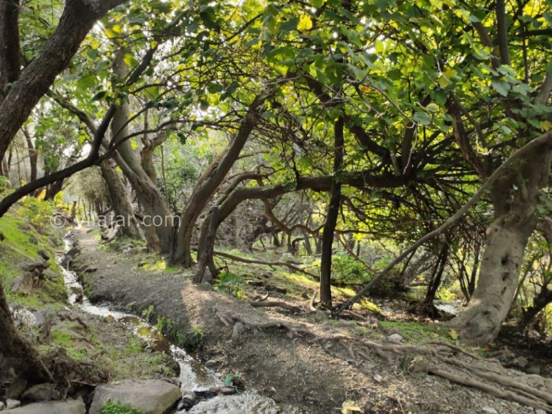 عکس شماره 8 - روستا و آبشار کلشتر