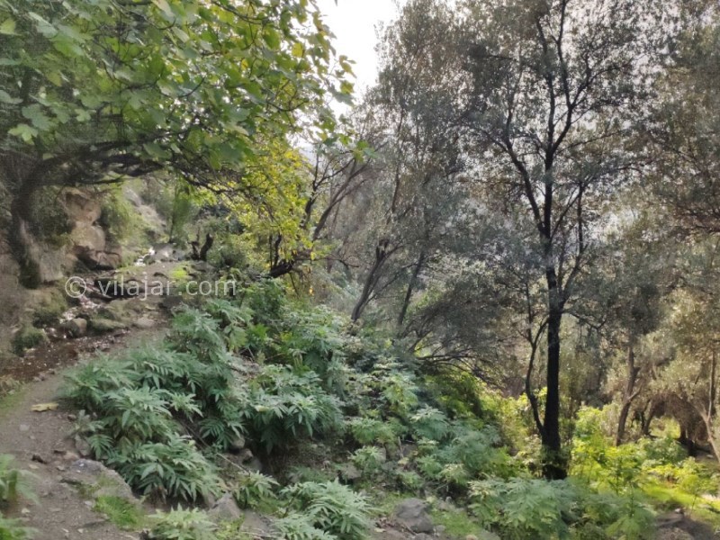 عکس شماره 11 - روستا و آبشار کلشتر