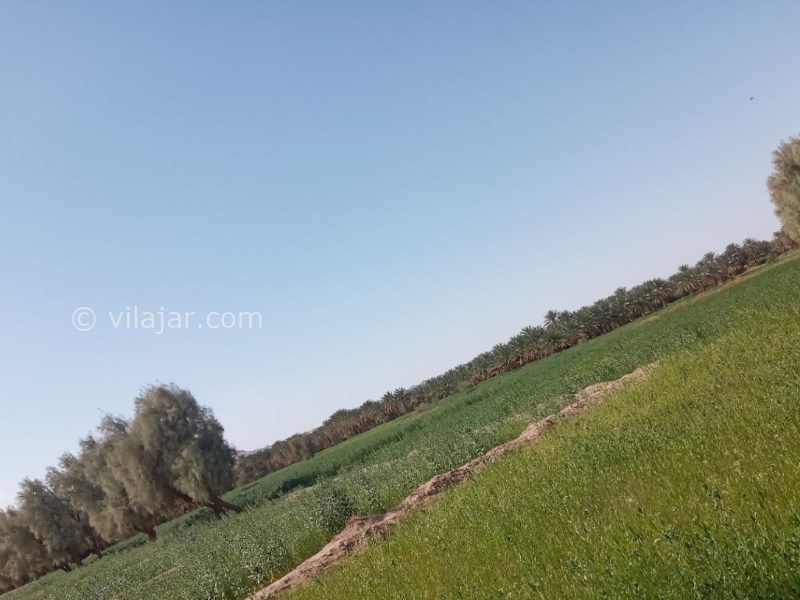 عکس شماره 7 - آبشار و دره کشیت