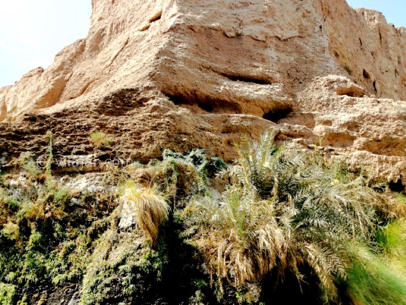 عکس شماره 12 - آبشار و دره کشیت