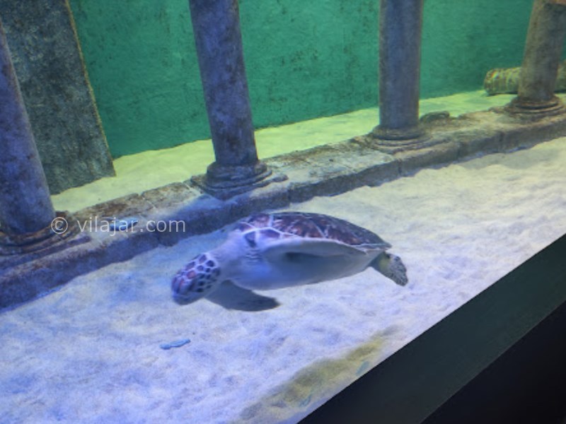 عکس شماره 15 - آکواریوم اصفهان