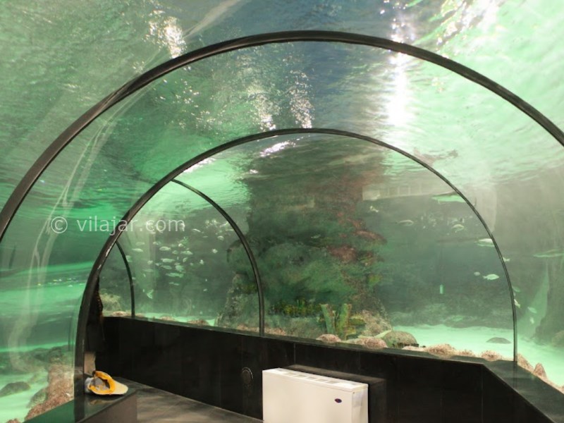 عکس شماره 21 - آکواریوم اصفهان
