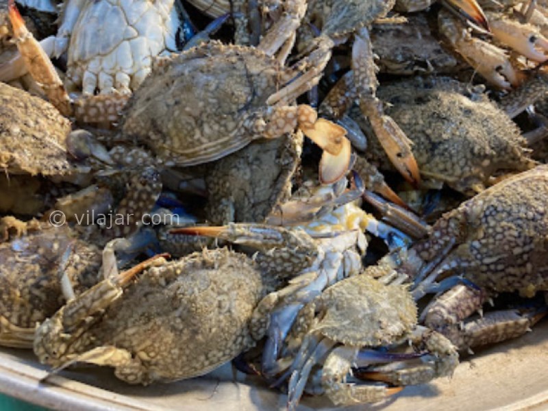 عکس شماره 4 - بازار بوشهر