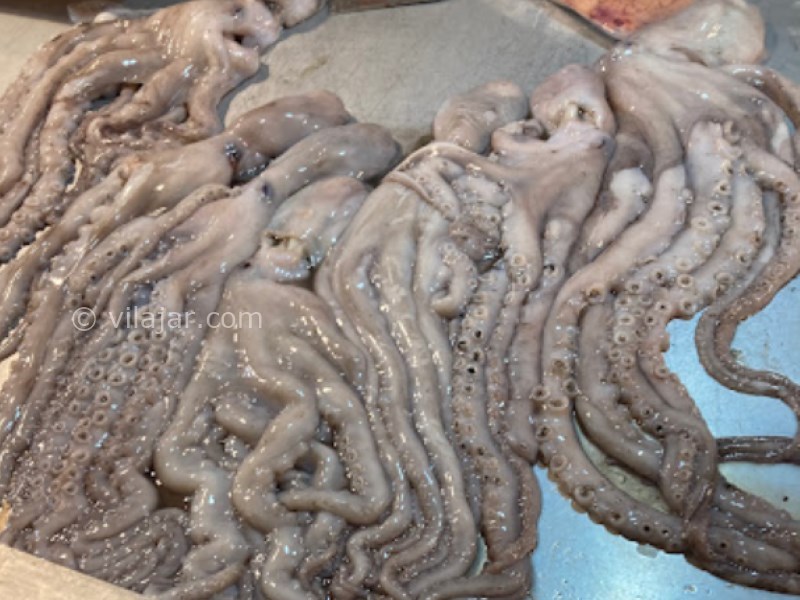 عکس شماره 5 - بازار بوشهر