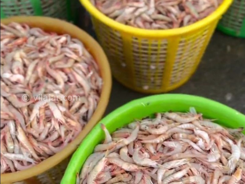 عکس شماره 11 - بازار بوشهر