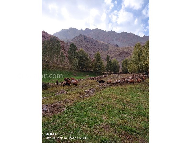 عکس اصلی شماره 4 - روستای خرم ار توابع شهرستان امل