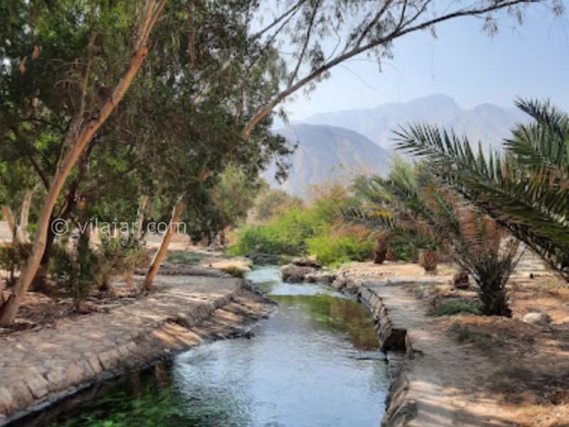 عکس شماره 5 - چشمه‌ آبگرم گنو بندر عباس