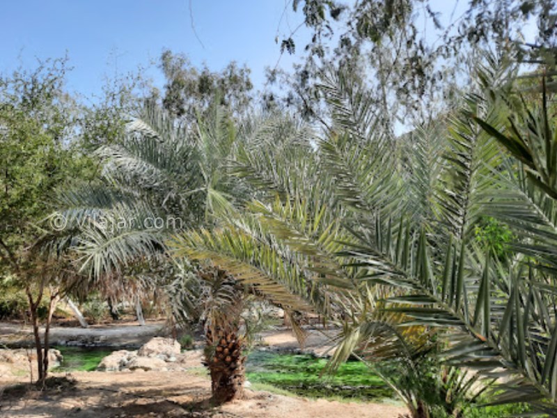 عکس شماره 7 - چشمه‌ آبگرم گنو بندر عباس